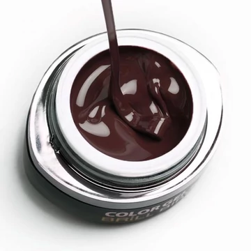 GO 010 BRUSH&GO COLOR GEL