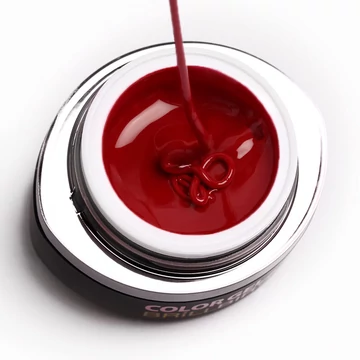 GO 003 BRUSH&GO COLOR GEL