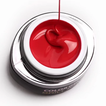 GO 008 BRUSH&GO COLOR GEL