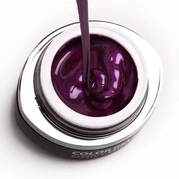 GO 012 BRUSH&GO COLOR GEL