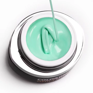 GO 085 BRUSH&GO COLOR GEL