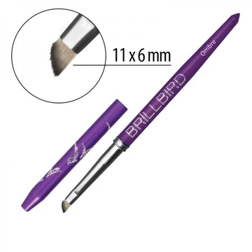 OMBRE ECSET