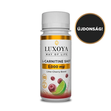L-CARNITINE SHOT 3000mg FOLYÉKONY L-KARNITIN - MEGGY LIME ÍZBEN 60ML
