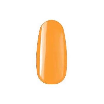ROYAL GEL R040
