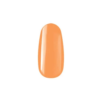 ROYAL GEL R060