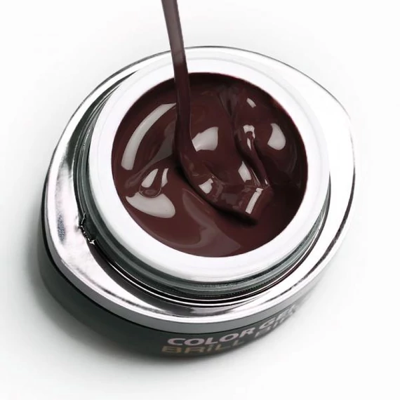 GO 010 BRUSH&GO COLOR GEL