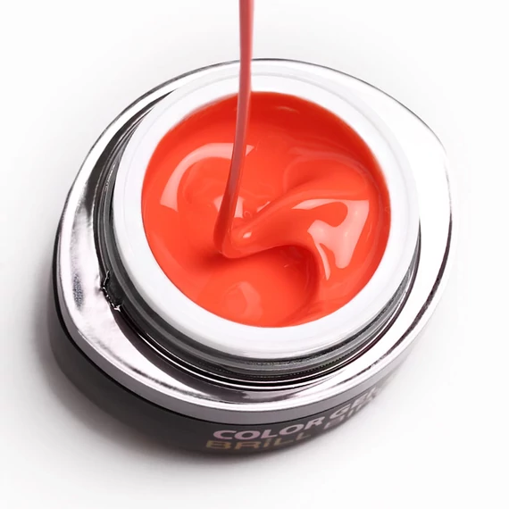 GO 004 BRUSH&GO COLOR GEL