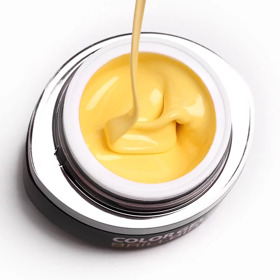 GO 009 BRUSH&GO COLOR GEL