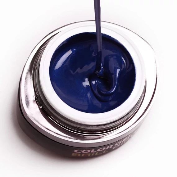GO 011 BRUSH&GO COLOR GEL