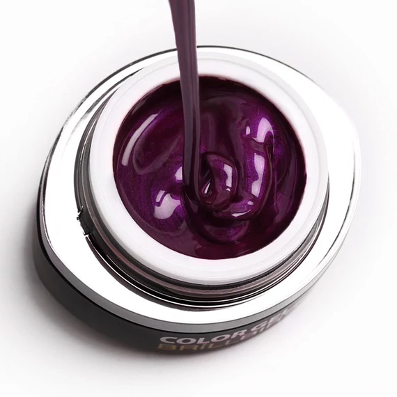 GO 012 BRUSH&GO COLOR GEL