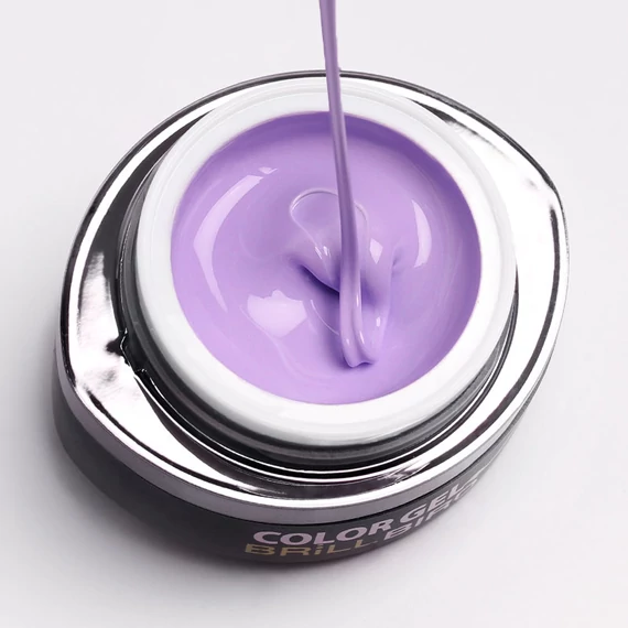 GO 017 BRUSH&GO COLOR GEL