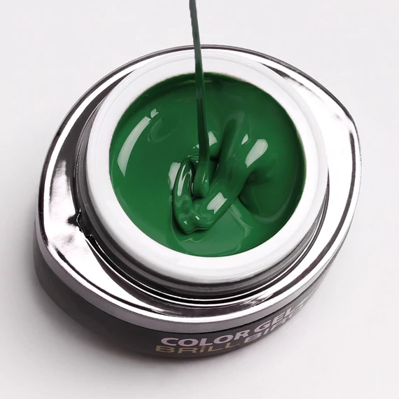 GO 021 BRUSH&GO COLOR GEL