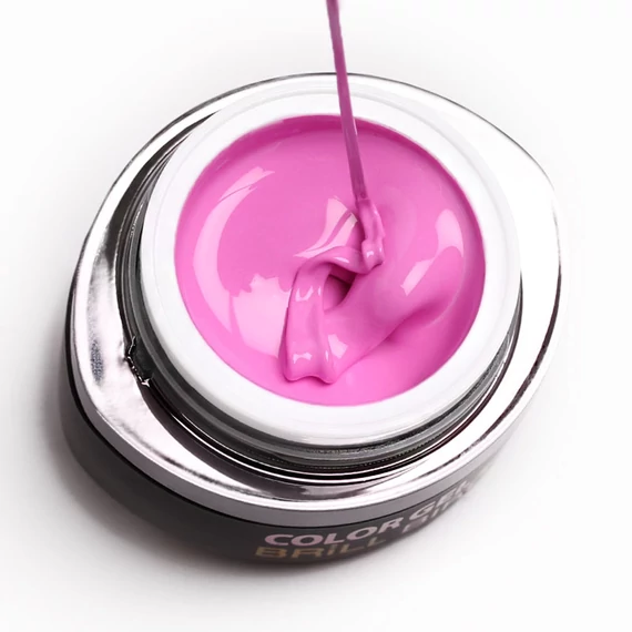 GO 023 BRUSH&GO COLOR GEL