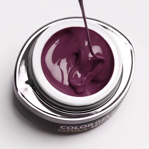 GO 026 BRUSH&GO COLOR GEL