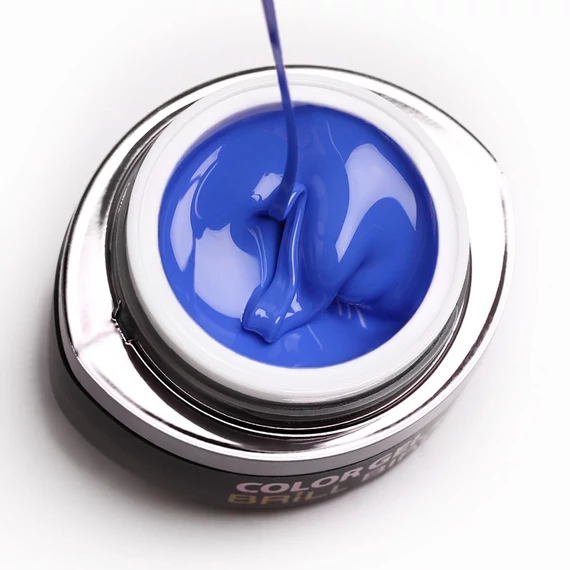GO 027 BRUSH&GO COLOR GEL