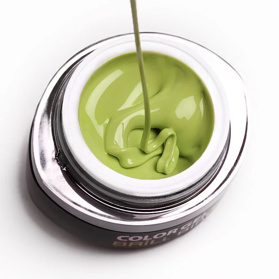 GO 028 BRUSH&GO COLOR GEL