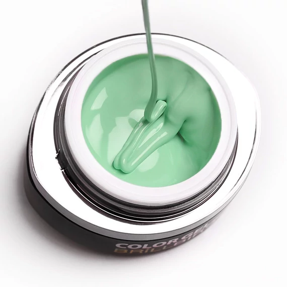 GO 031 BRUSH&GO COLOR GEL