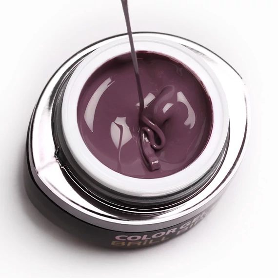 GO 033 BRUSH&GO COLOR GEL
