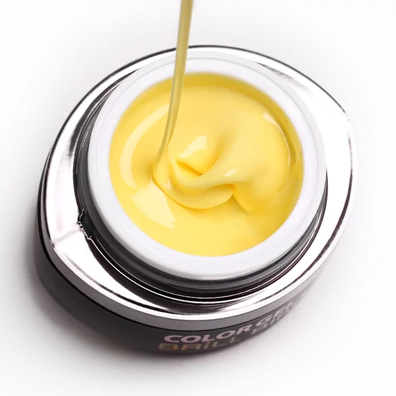 GO 039 BRUSH&GO COLOR GEL