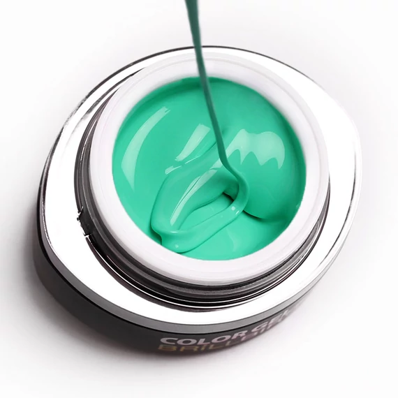 GO 053 BRUSH&GO COLOR GEL