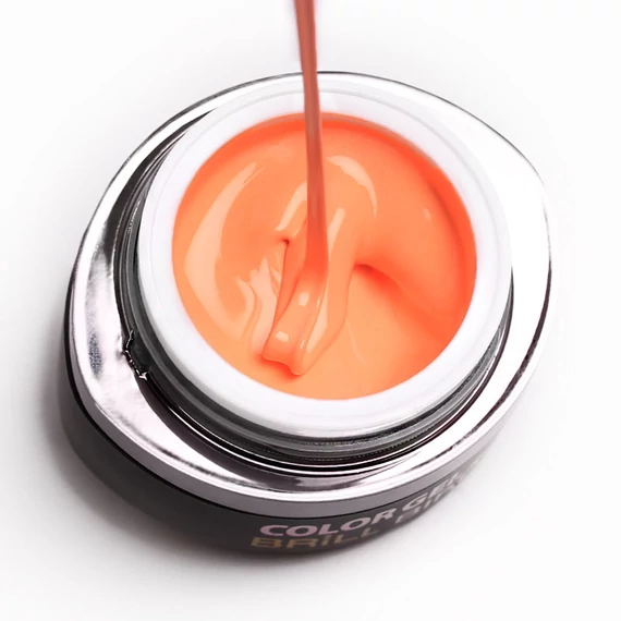GO 054 BRUSH&GO COLOR GEL