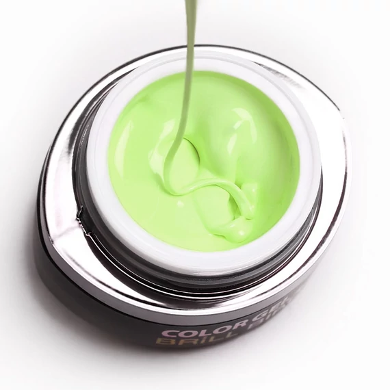 GO 057 BRUSH&GO COLOR GEL
