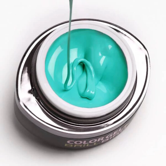 GO 070 BRUSH&GO COLOR GEL