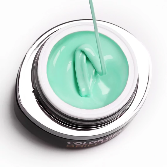 GO 085 BRUSH&GO COLOR GEL
