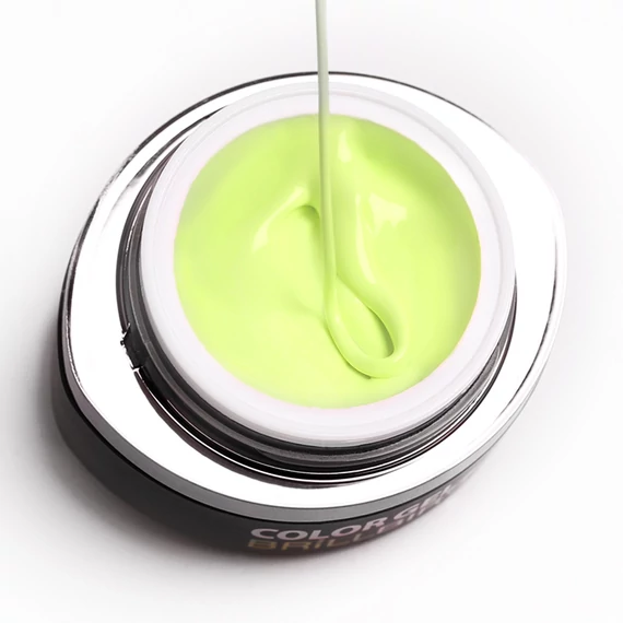 GO 089 BRUSH&GO COLOR GEL