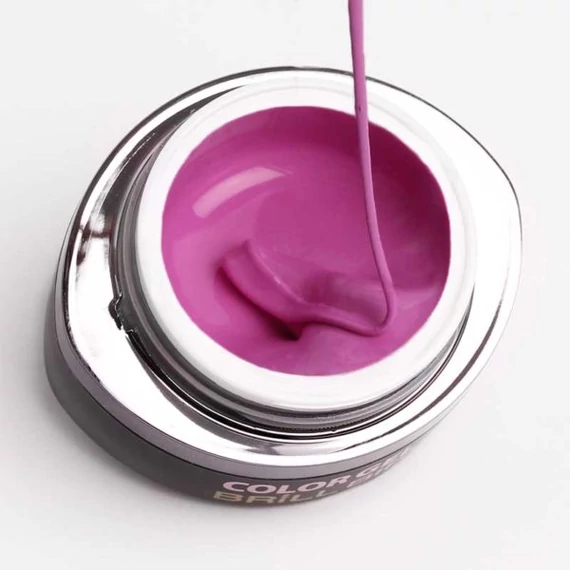 GO 100 BRUSH&GO COLOR GEL