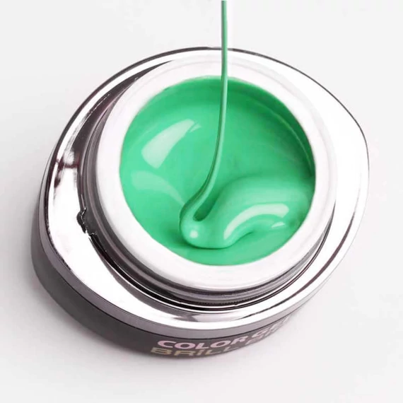 GO 102 BRUSH&GO COLOR GEL
