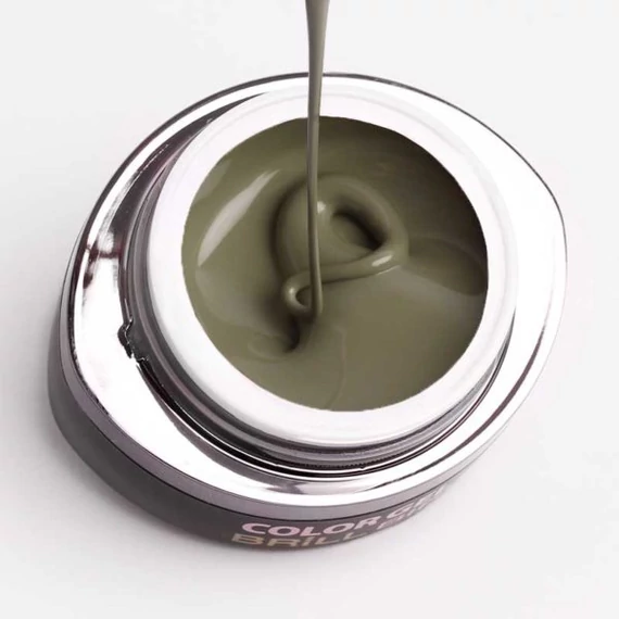 GO 104 BRUSH&GO COLOR GEL