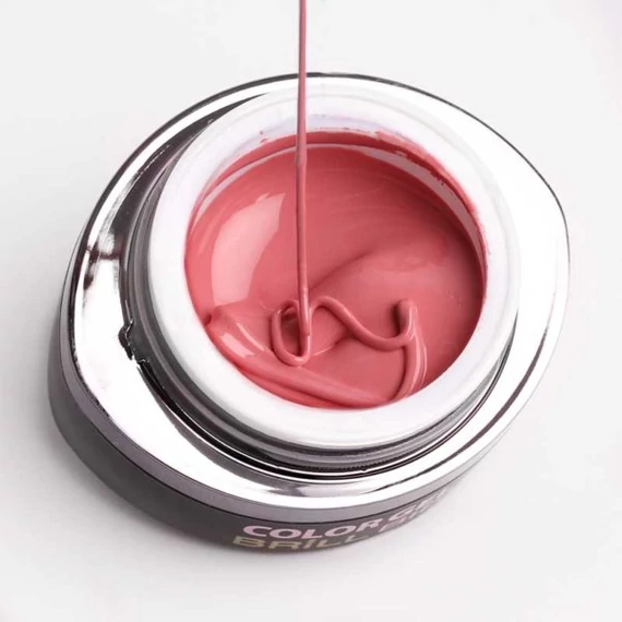 GO 110 BRUSH&GO COLOR GEL