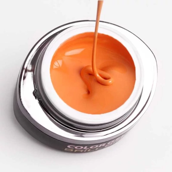 GO 112 BRUSH&GO COLOR GEL