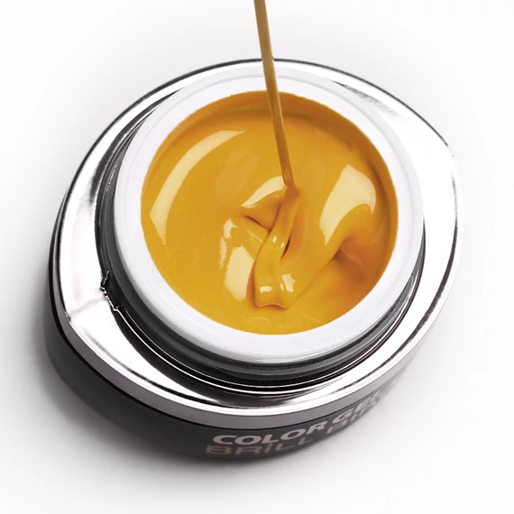 GO 133 BRUSH&GO COLOR GEL