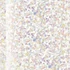 RUBBER BASE - 31G